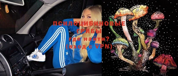 прущие грибы Абаза