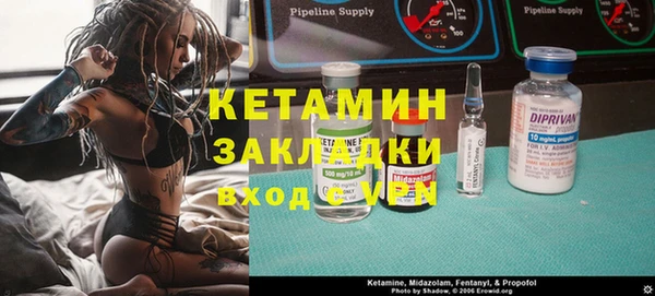 прущие грибы Абаза