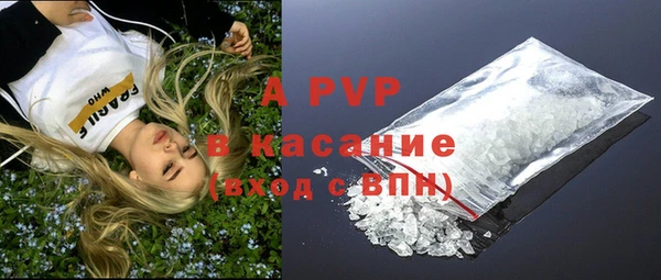 прущие грибы Абаза