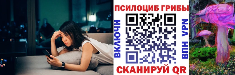 Галлюциногенные грибы Magic Shrooms где купить наркотик Приволжский